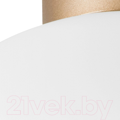 Потолочный светильник Lightstar Globo 812033 (MX8131-1B-L)