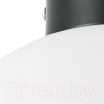 Потолочный светильник Lightstar Globo 812037 (MX8131-1B-L)