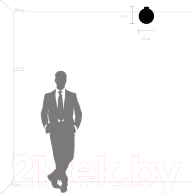 Потолочный светильник Lightstar Globo 812037 (MX8131-1B-L)