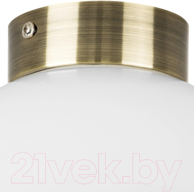 Потолочный светильник Lightstar Globo 812111 (MX8131-1A)