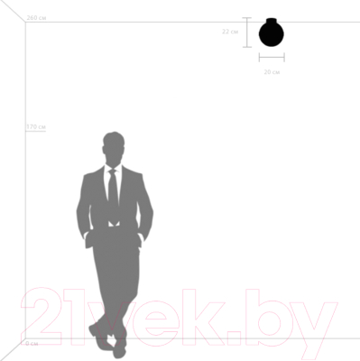 Потолочный светильник Lightstar Globo 812111 (MX8131-1A)