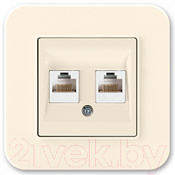 Розетка Gunsan 01281200-159391 - фото