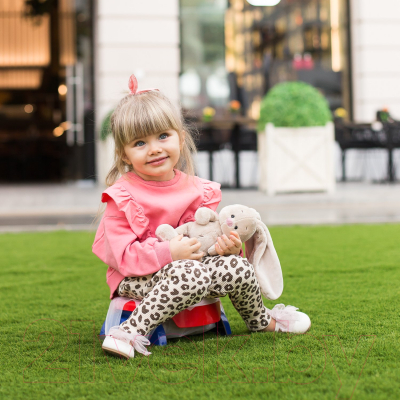 Дорожный горшок Potette Plus 23011DMR