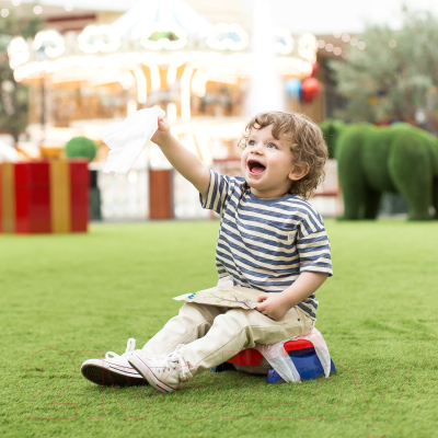 Дорожный горшок Potette Plus 23011DMR