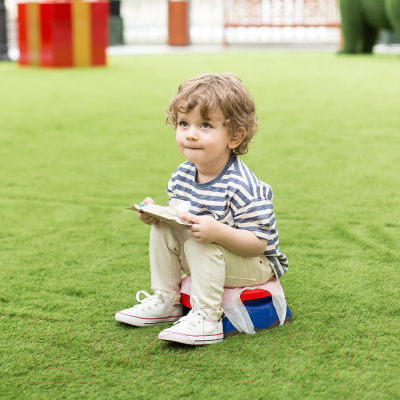 Дорожный горшок Potette Plus 23011DMR