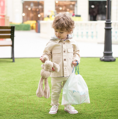 Дорожный горшок Potette Plus 23011M