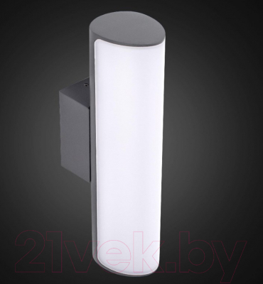 Светильник уличный Citilux CLU0007