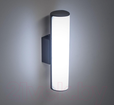 Светильник уличный Citilux CLU0007