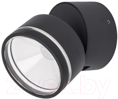 Светильник уличный Citilux CLU0008R - фото