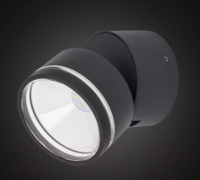 Светильник уличный Citilux CLU0008R