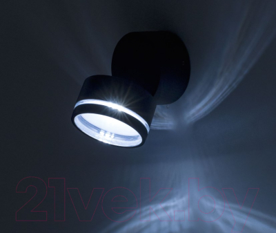 Светильник уличный Citilux CLU0008R