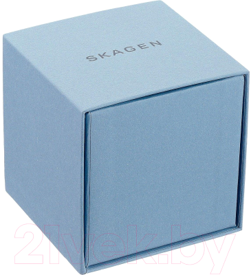 Часы наручные женские Skagen SKW2665