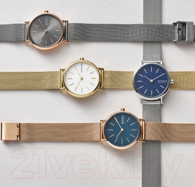 Часы наручные женские Skagen SKW2693