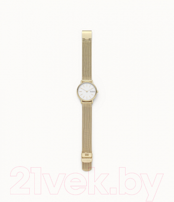 Часы наручные женские Skagen SKW2693