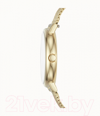 Часы наручные женские Skagen SKW2693