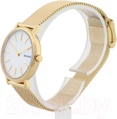 Часы наручные женские Skagen SKW2693