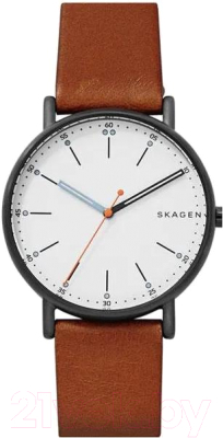 Часы наручные мужские Skagen SKW6374 - фото
