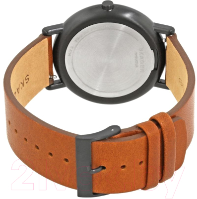 Часы наручные мужские Skagen SKW6374