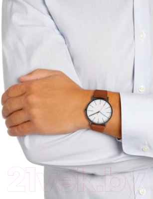 Часы наручные мужские Skagen SKW6374