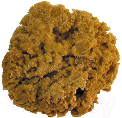 Губка для декоративной штукатурки УПРАВДОМ 02399-7 Натуральная - фото