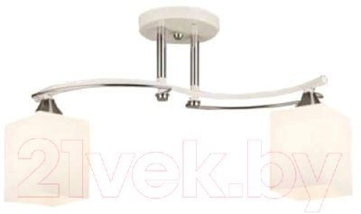 Потолочный светильник Aitin-Pro НПБ N4473/2 - фото