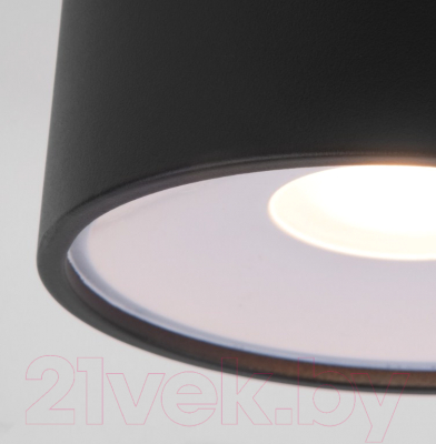 Светильник уличный Elektrostandard Light LED 2135 35141/H