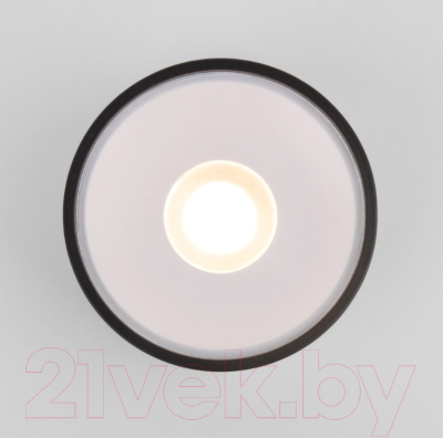 Светильник уличный Elektrostandard Light LED 2135 35141/H