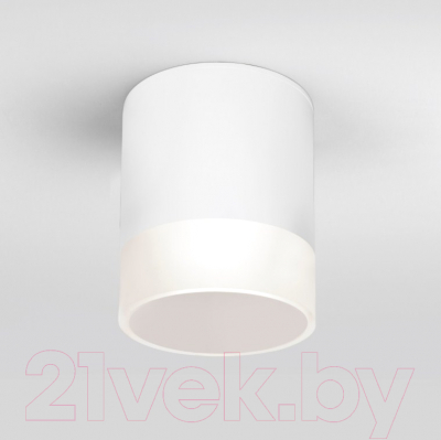 Светильник уличный Elektrostandard Light LED 2107 35140/H - фото