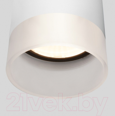 Светильник уличный Elektrostandard Light LED 2107 35140/H