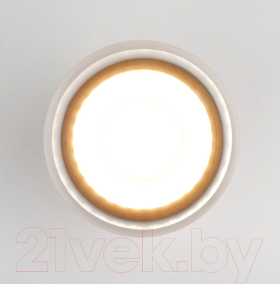 Светильник уличный Elektrostandard Light LED 2107 35140/H