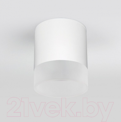 Светильник уличный Elektrostandard Light LED 2107 35140/H