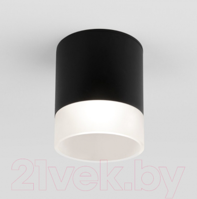 Светильник уличный Elektrostandard Light LED 2107 35140/H - фото