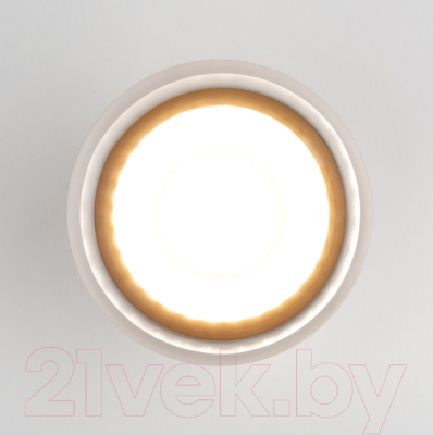 Светильник уличный Elektrostandard Light LED 2107 35140/H