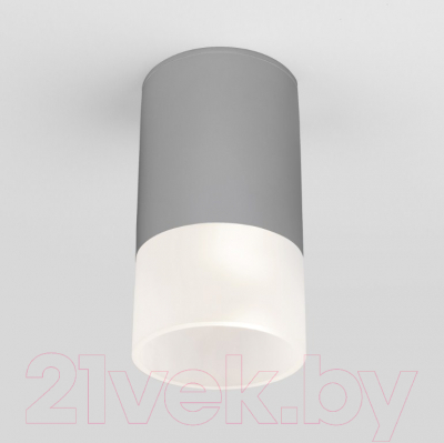 Светильник уличный Elektrostandard Light 2106 35139/H - фото