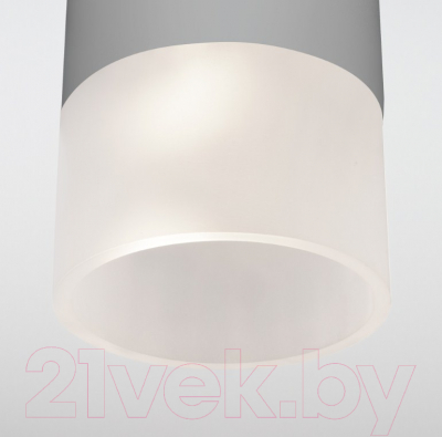 Светильник уличный Elektrostandard Light 2106 35139/H