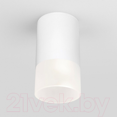 Светильник уличный Elektrostandard Light 2106 35139/H - фото