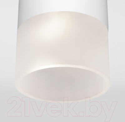 Светильник уличный Elektrostandard Light 2106 35139/H