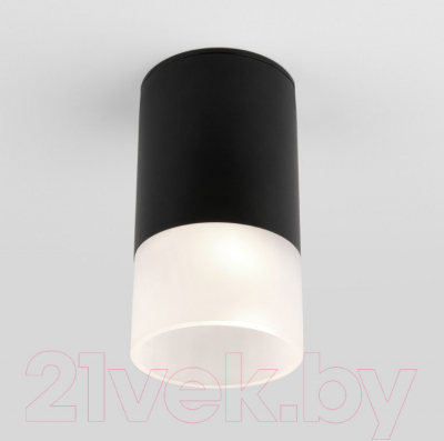 Светильник уличный Elektrostandard Light 2106 35139/H - фото