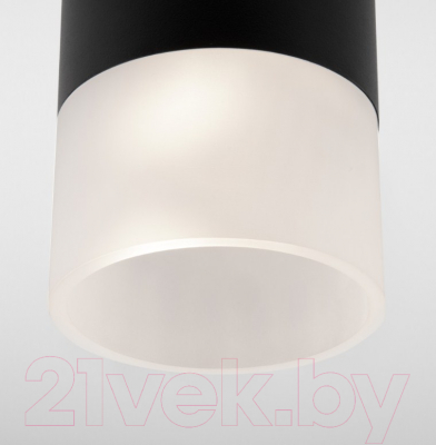 Светильник уличный Elektrostandard Light 2106 35139/H