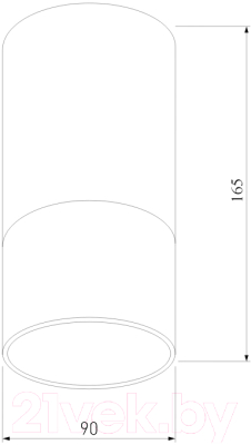 Светильник уличный Elektrostandard Light 2106 35139/H