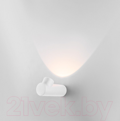 Бра уличное Elektrostandard Ray LED 35134/W