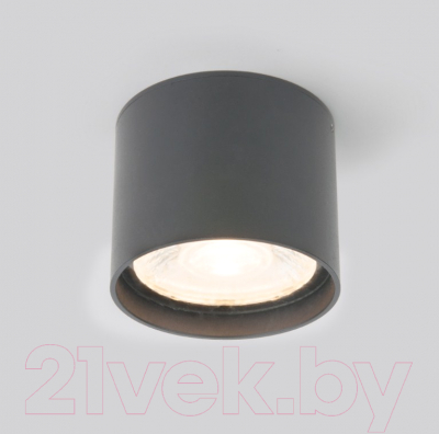 Светильник уличный Elektrostandard Light LED 2105 35132/H - фото