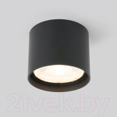 Светильник уличный Elektrostandard Light LED 2105 35132/H - фото