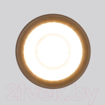 Светильник уличный Elektrostandard Light LED 2105 35132/H