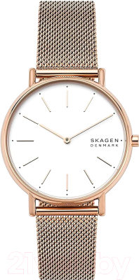 Часы наручные женские Skagen SKW2784 - фото