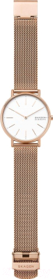 Часы наручные женские Skagen SKW2784