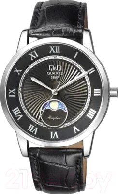 Часы наручные мужские Q&Q QZ10J308Y - фото