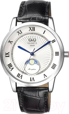 Часы наручные мужские Q&Q QZ10J307Y - фото