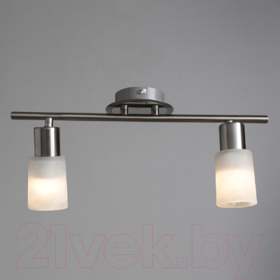 Спот Arte Lamp Cavalletta A4510PL-2SS