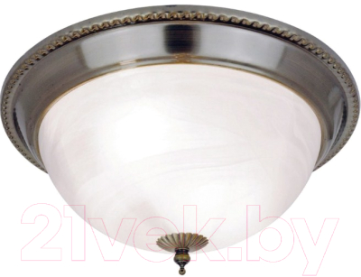 Потолочный светильник Arte Lamp Porch A1305PL-2AB - фото